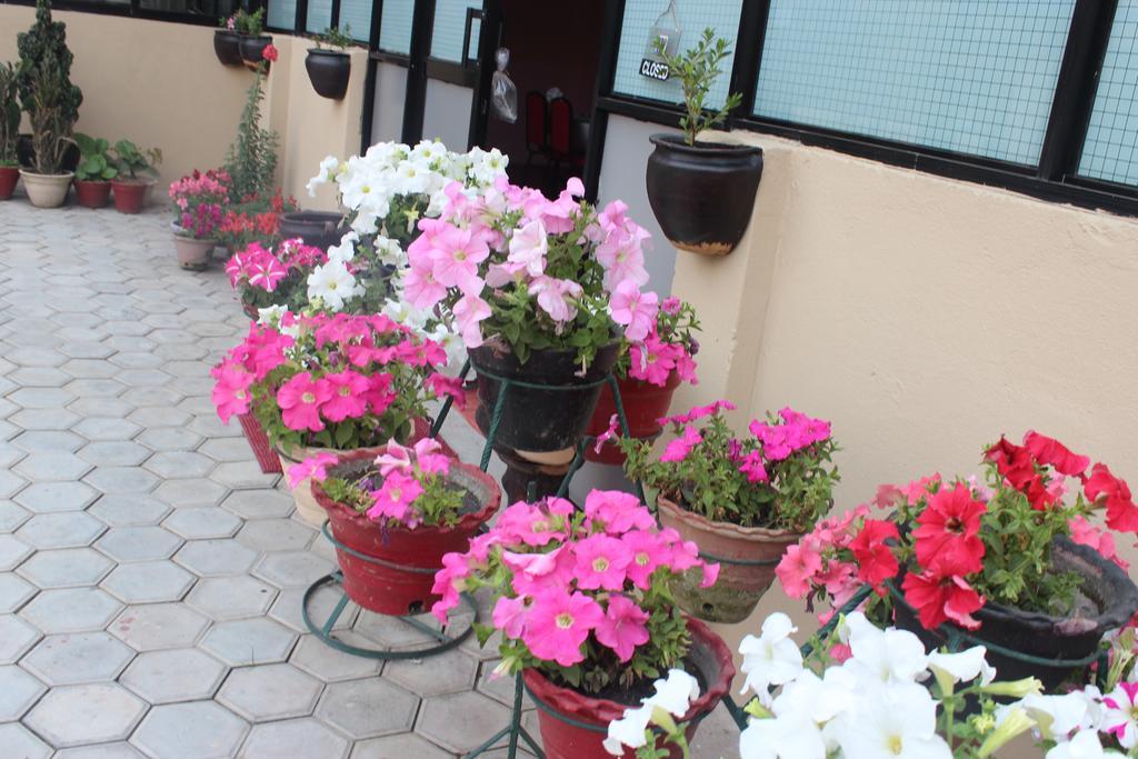 Guest house Dipankara Kathmandu