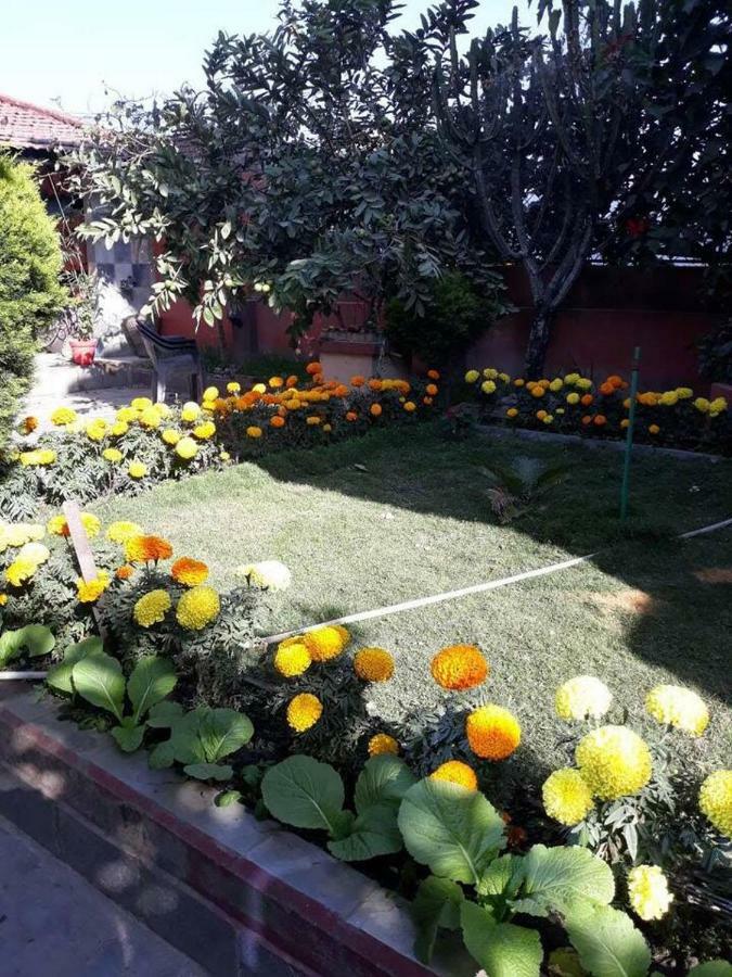 Kantipur Temple Homestay Kathmandu