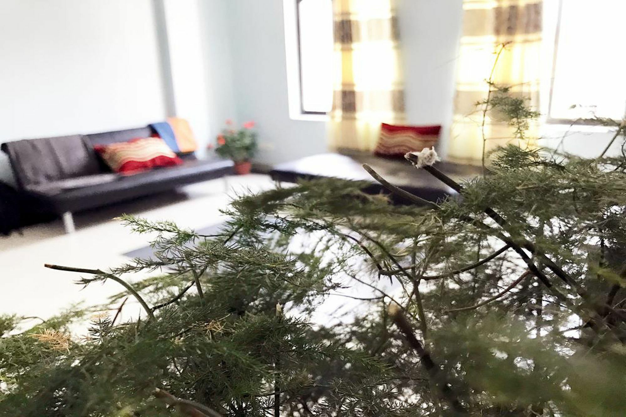 Lazimpat Luxury 2* Kathmandu