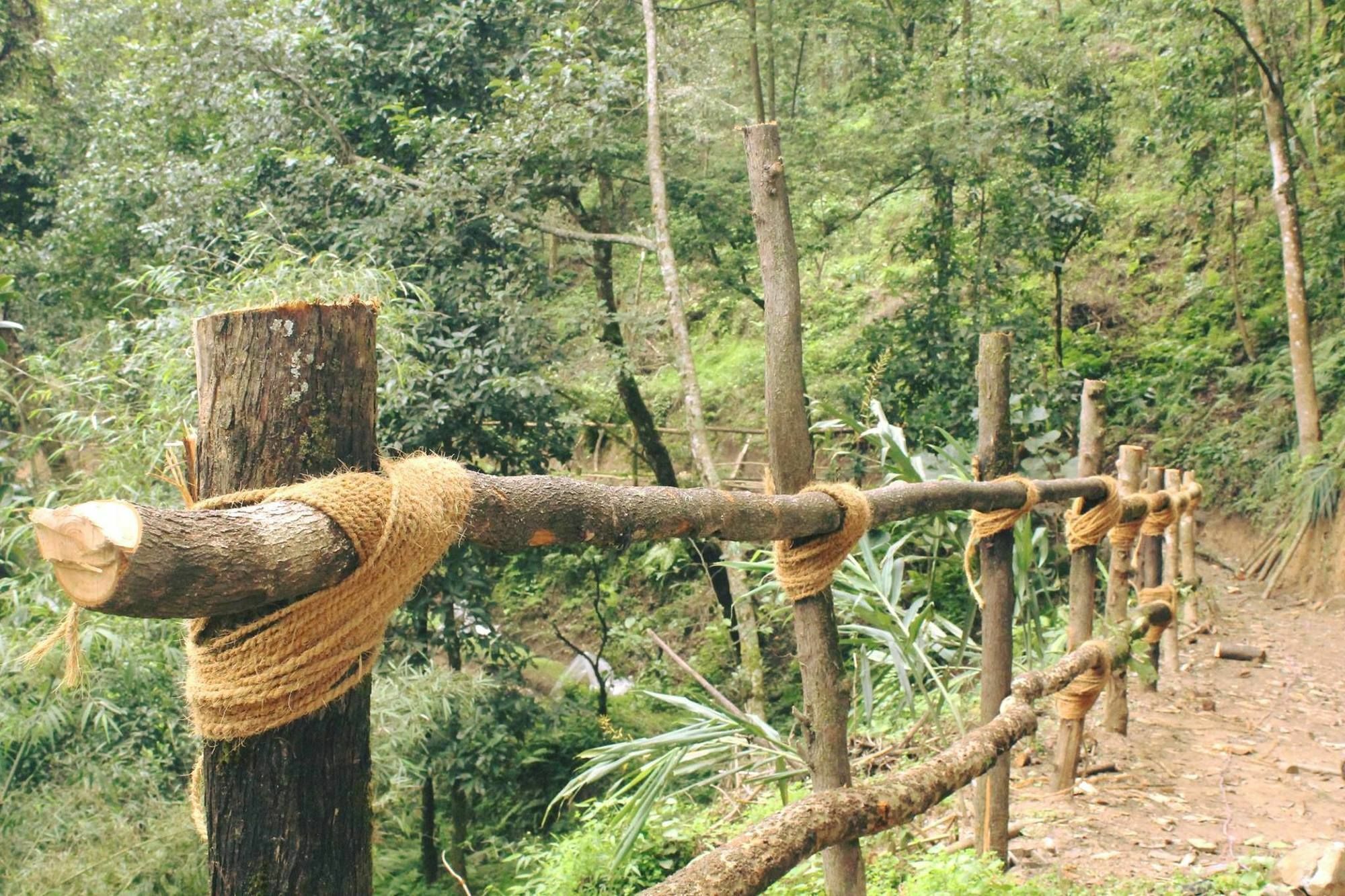 Tempat peranginan Bunjungle Adventures 2*