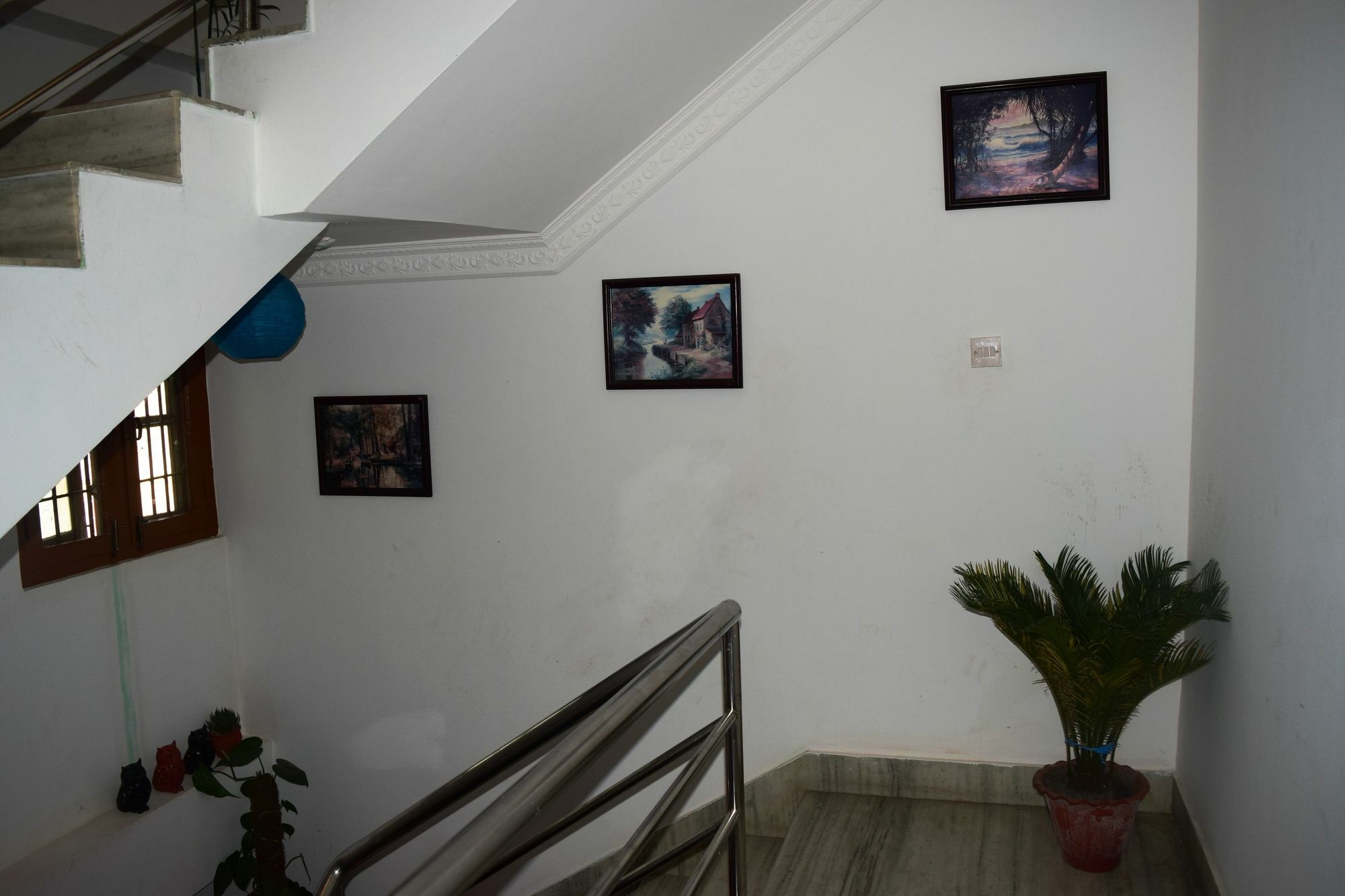 Papaya Hotel 3*