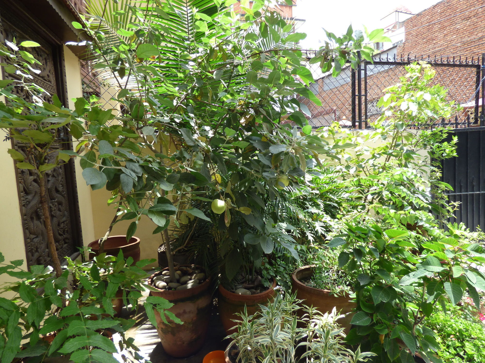Mi Casa 3* Kathmandu