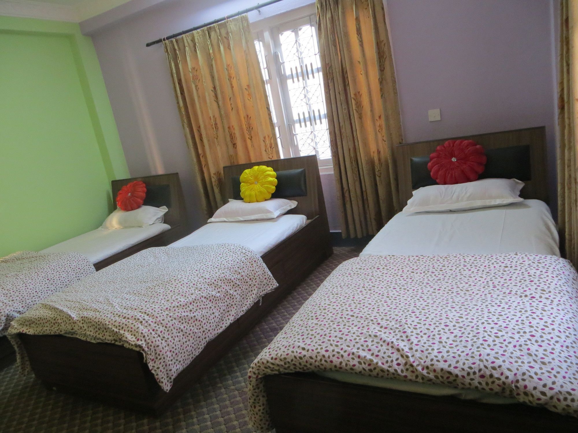 Manamaiju And Homestay Kathmandu