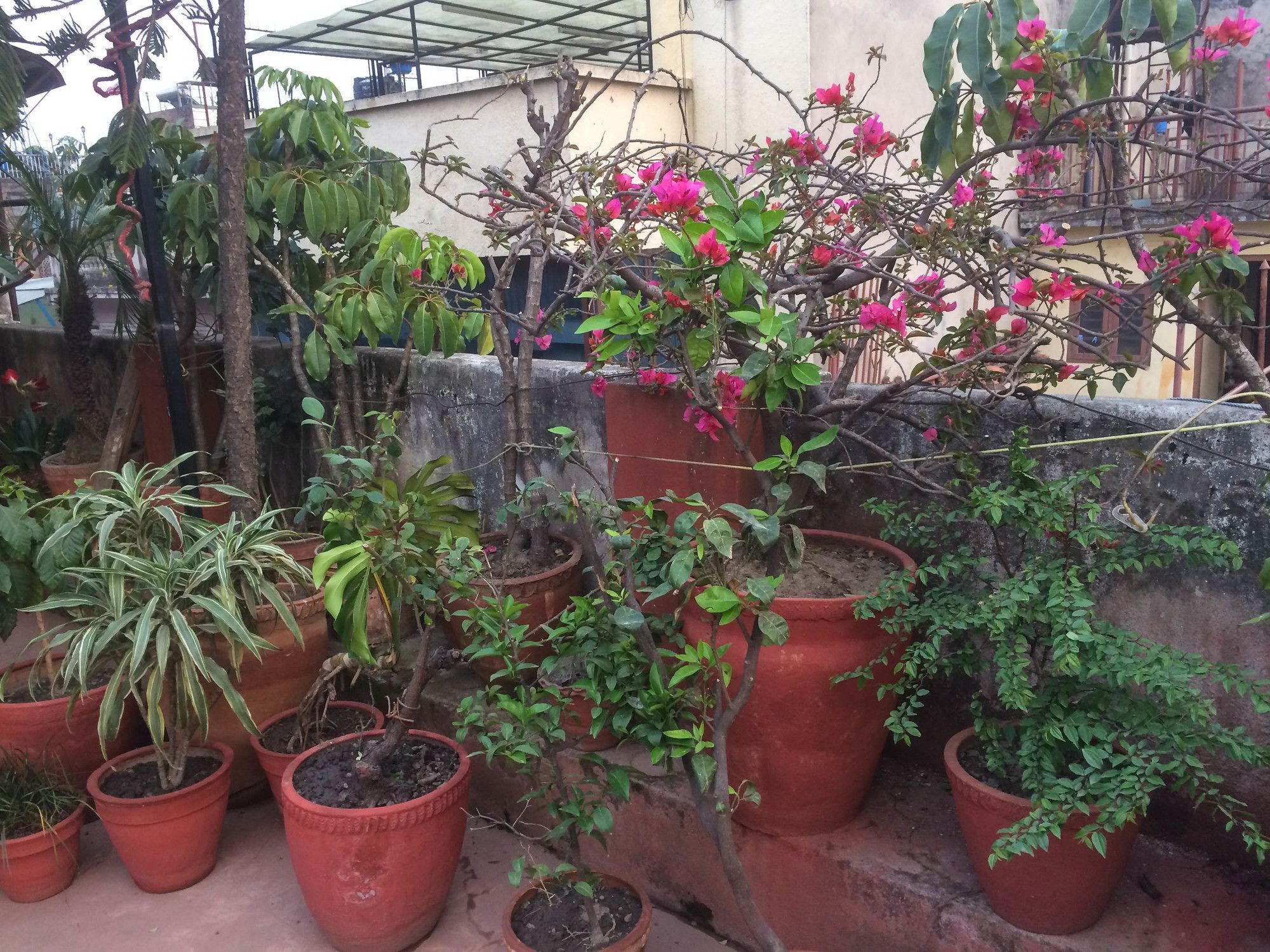 Holy Land Nepal Bed & Breakfast