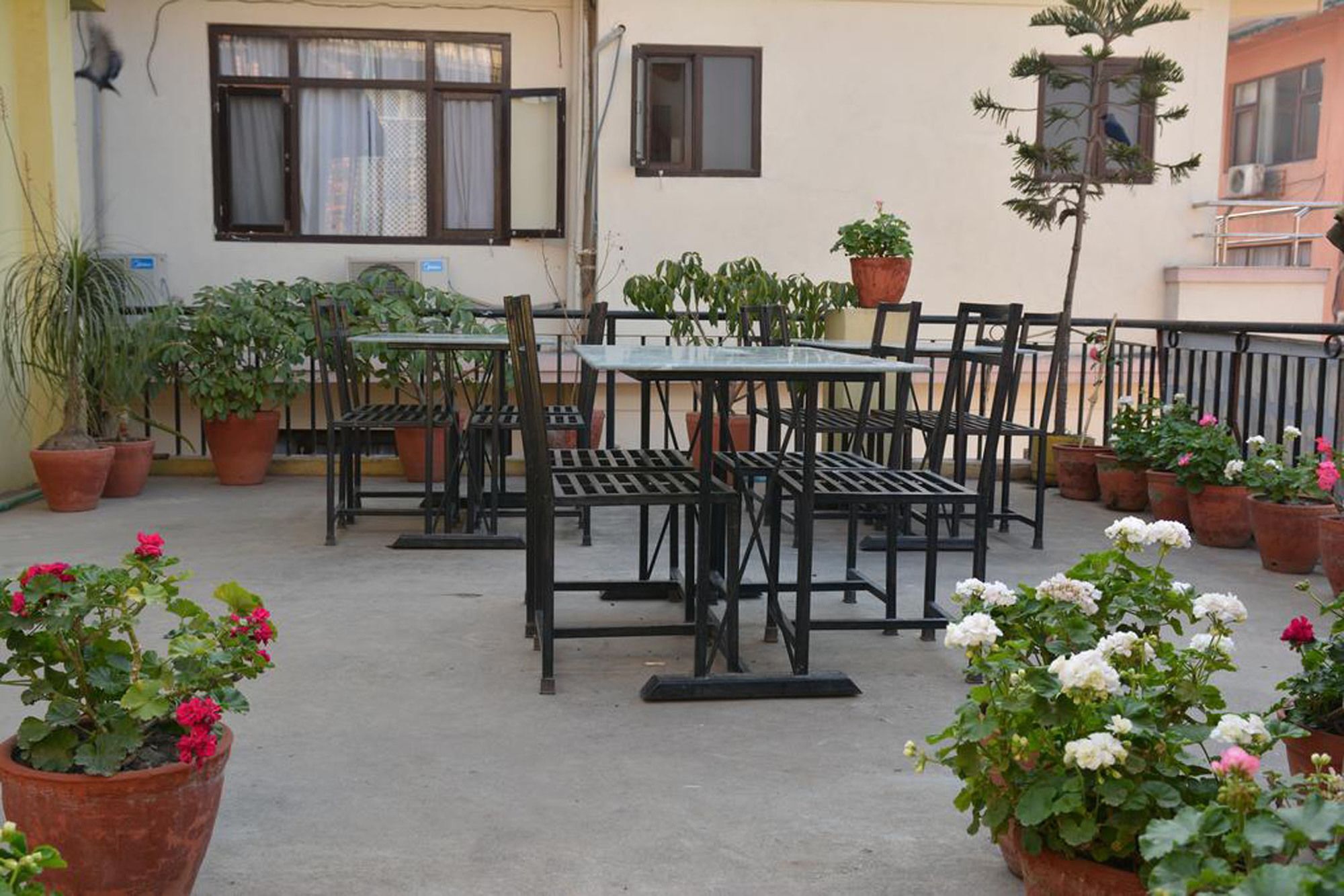 Guest house Orchid Kathmandu