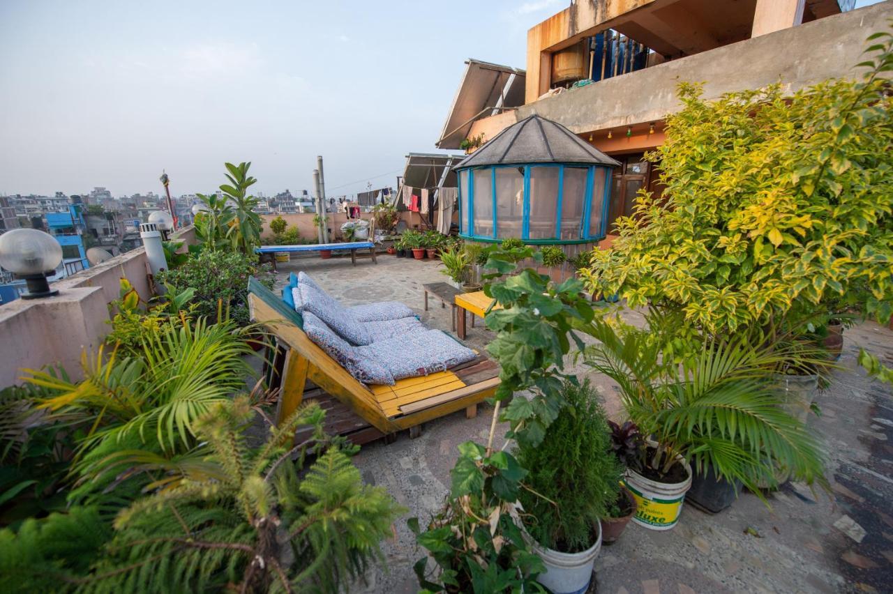 Pomelo House Bed & Breakfast