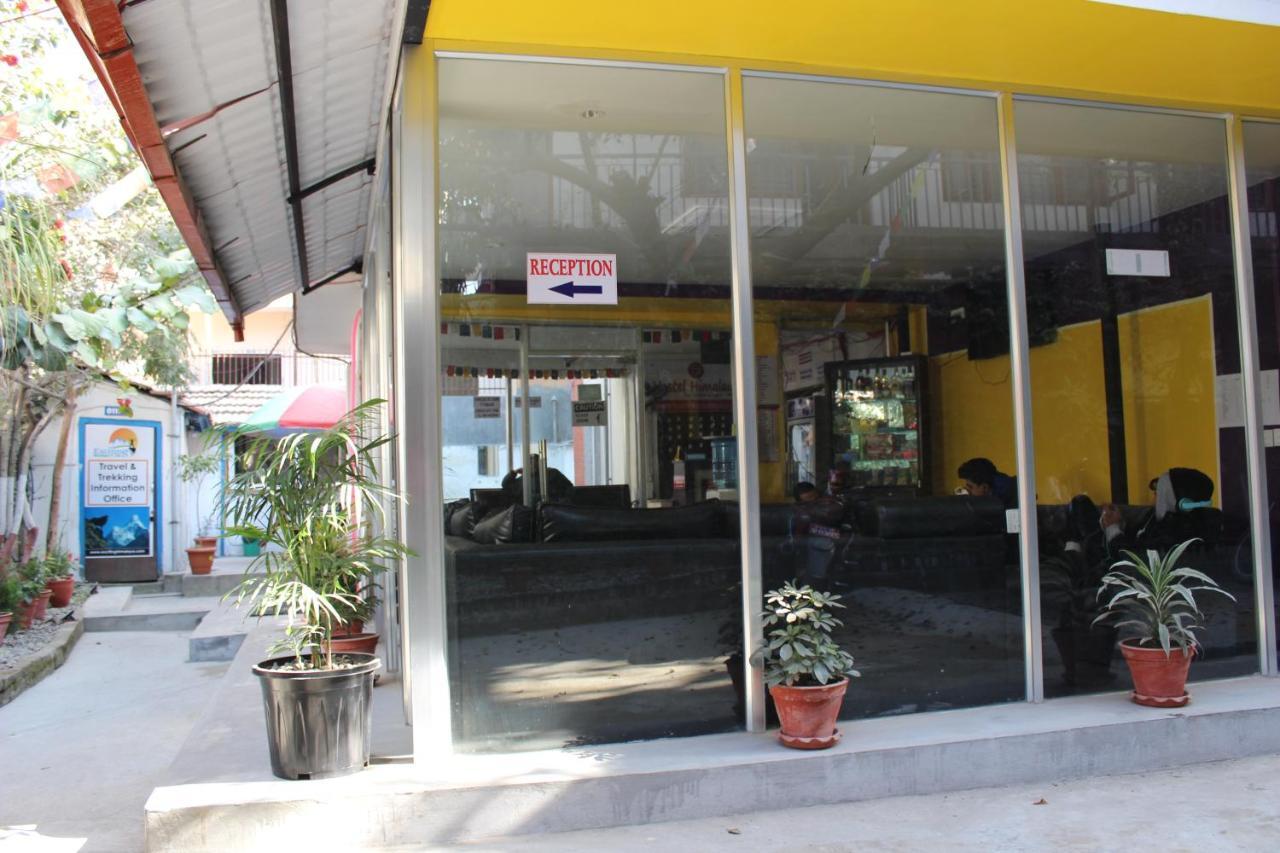 Himalaya Hostel *