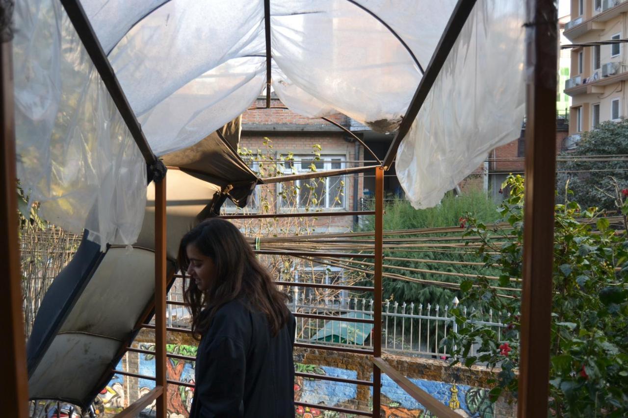 Fireflies Hostel *
