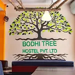 Bodhi Tree Hostel
