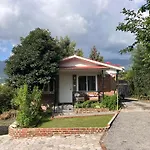 Avocado Accommodations