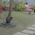 Anita\'S Home
