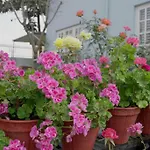 Anita\'S Home