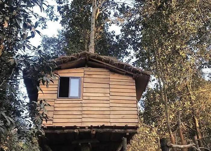Bunjungle Adventures