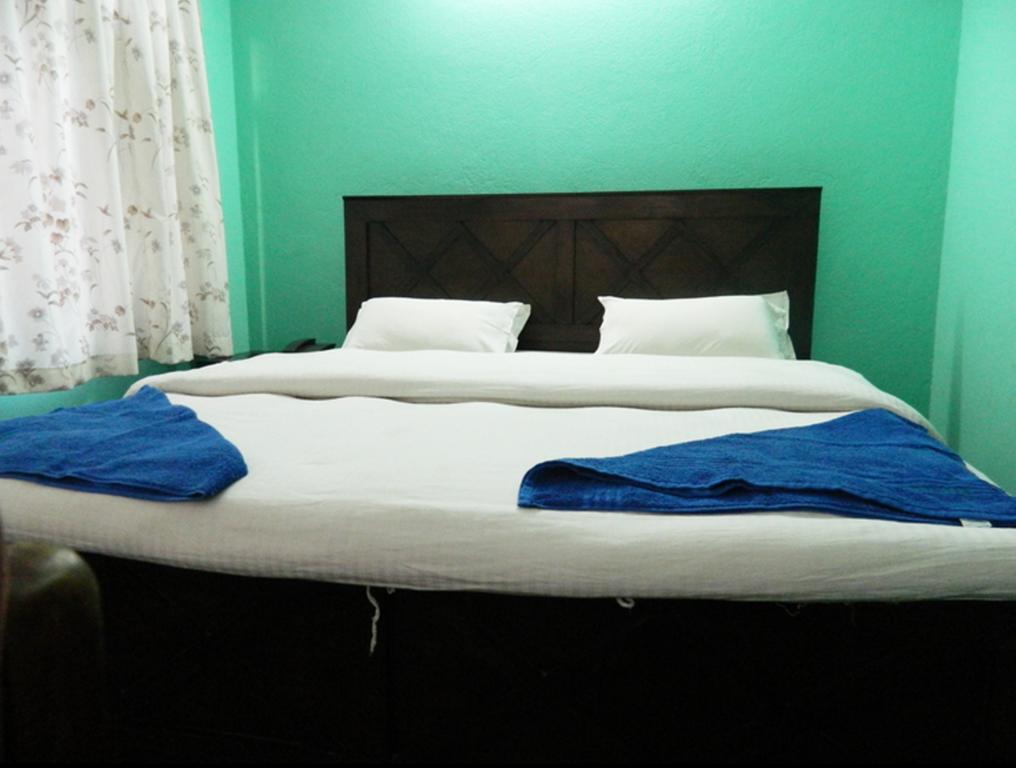 Mount Annapurna Guest house *