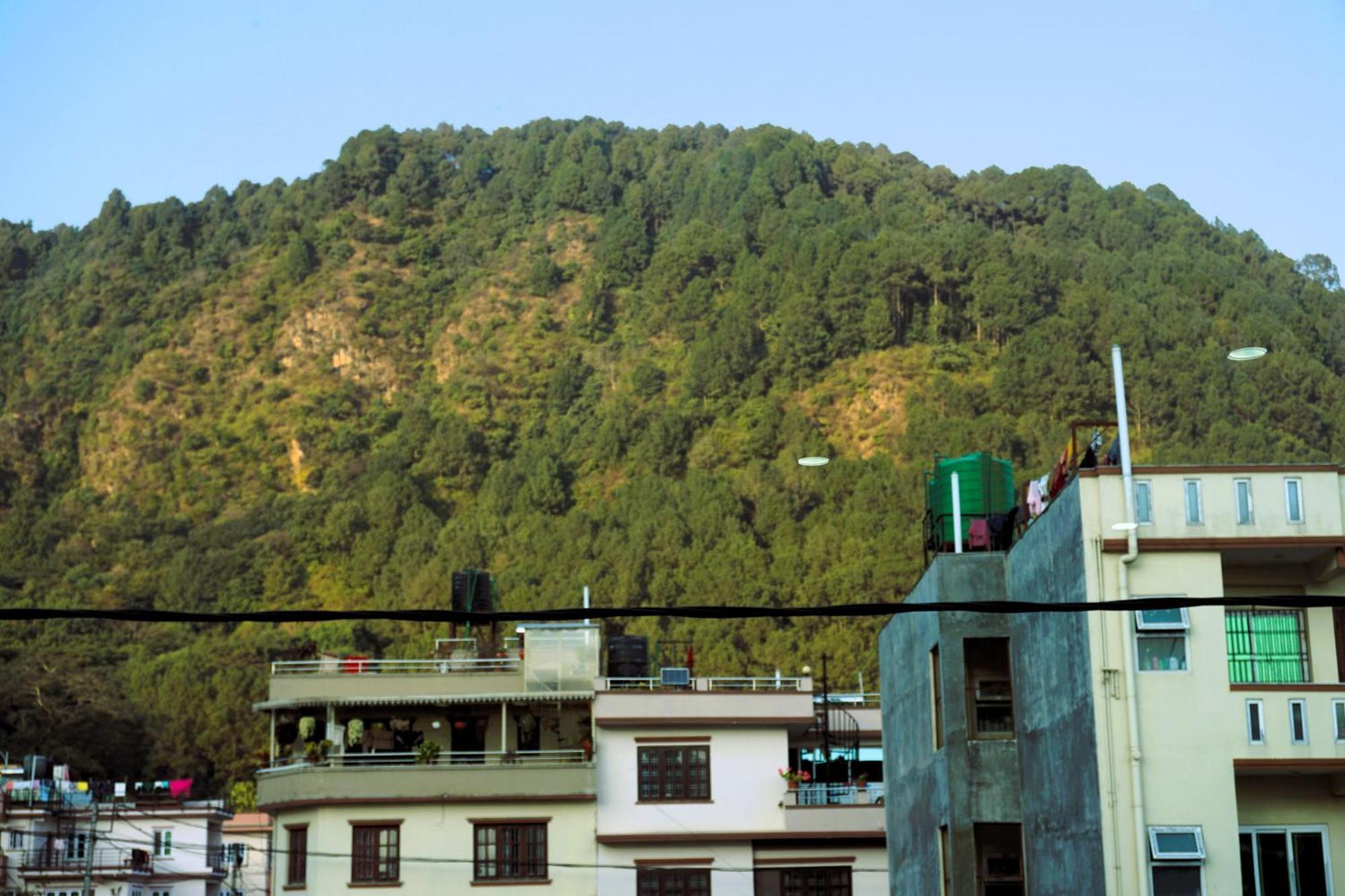 Mount Star Lodge