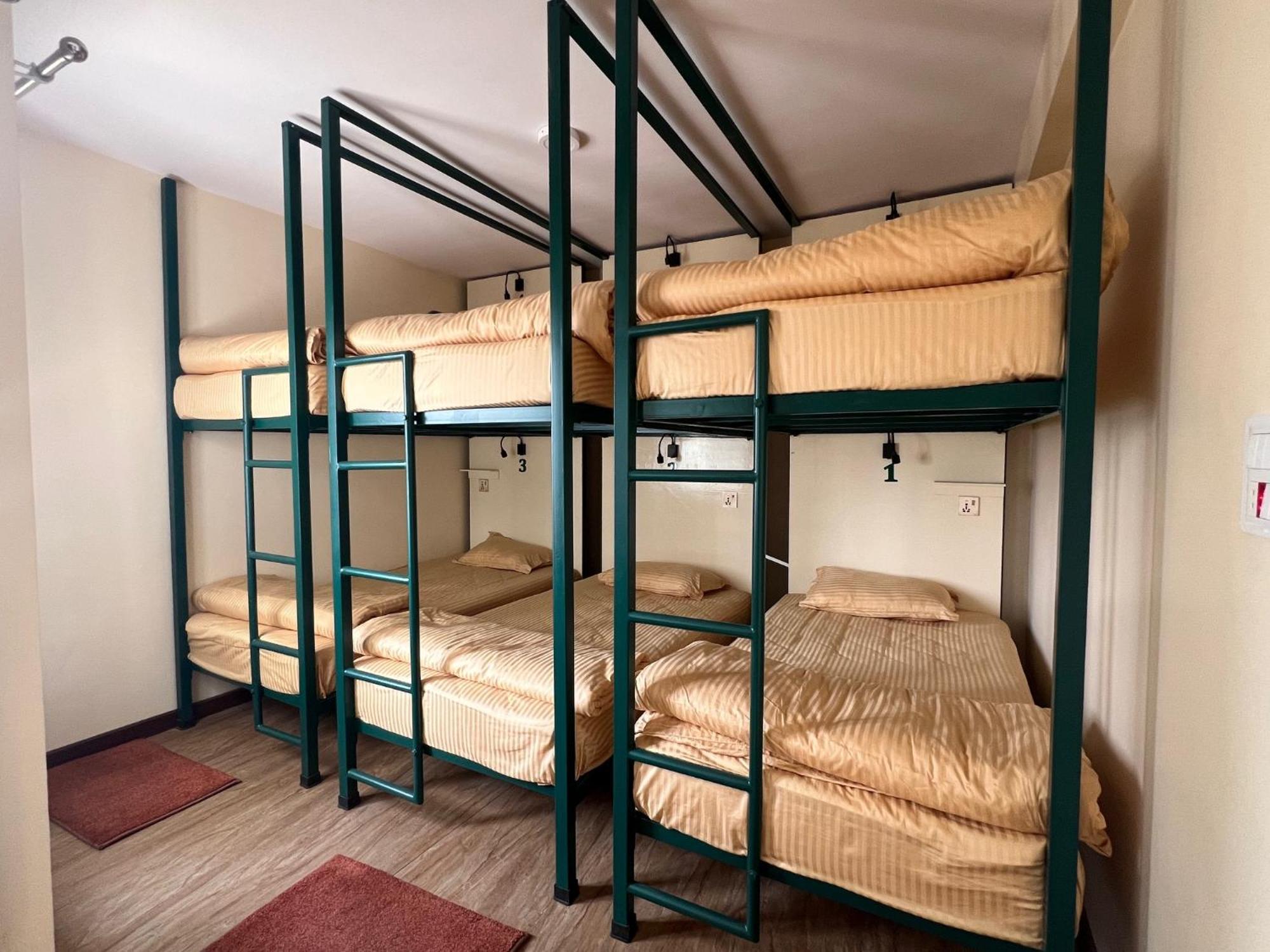 Albergue The Sparkling Turtle Backpackers *