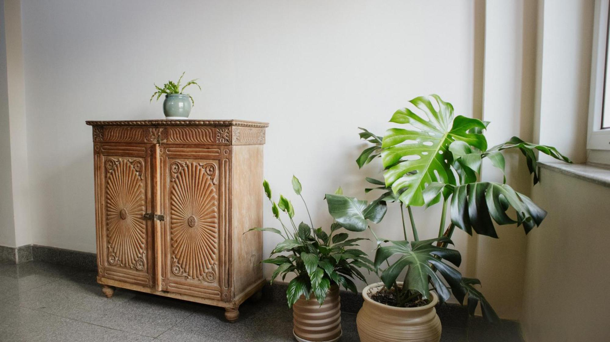 Apartamento Kibu *