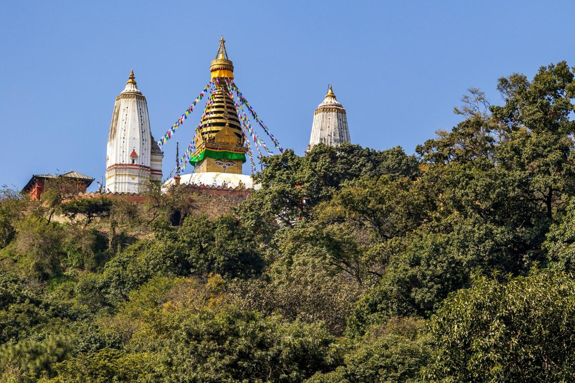 House Of Forrest, Service * Kathmandu