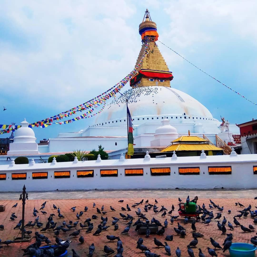 Yogstay In * Kathmandu