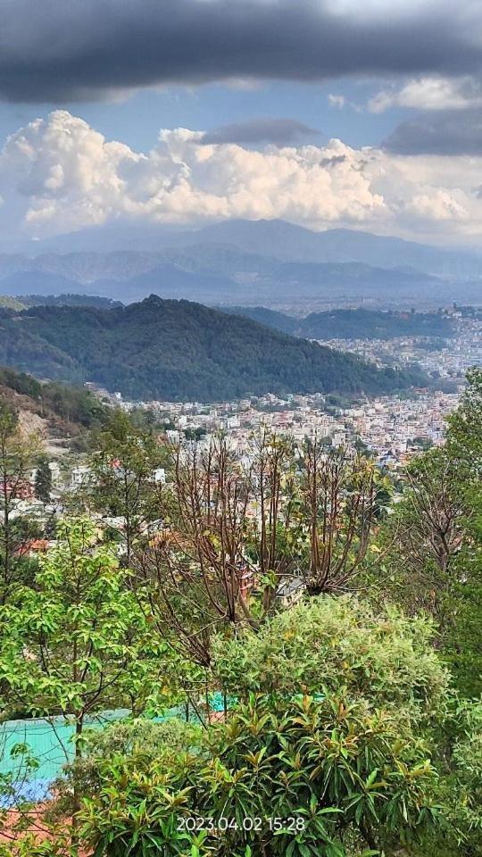 Treez * Kathmandu