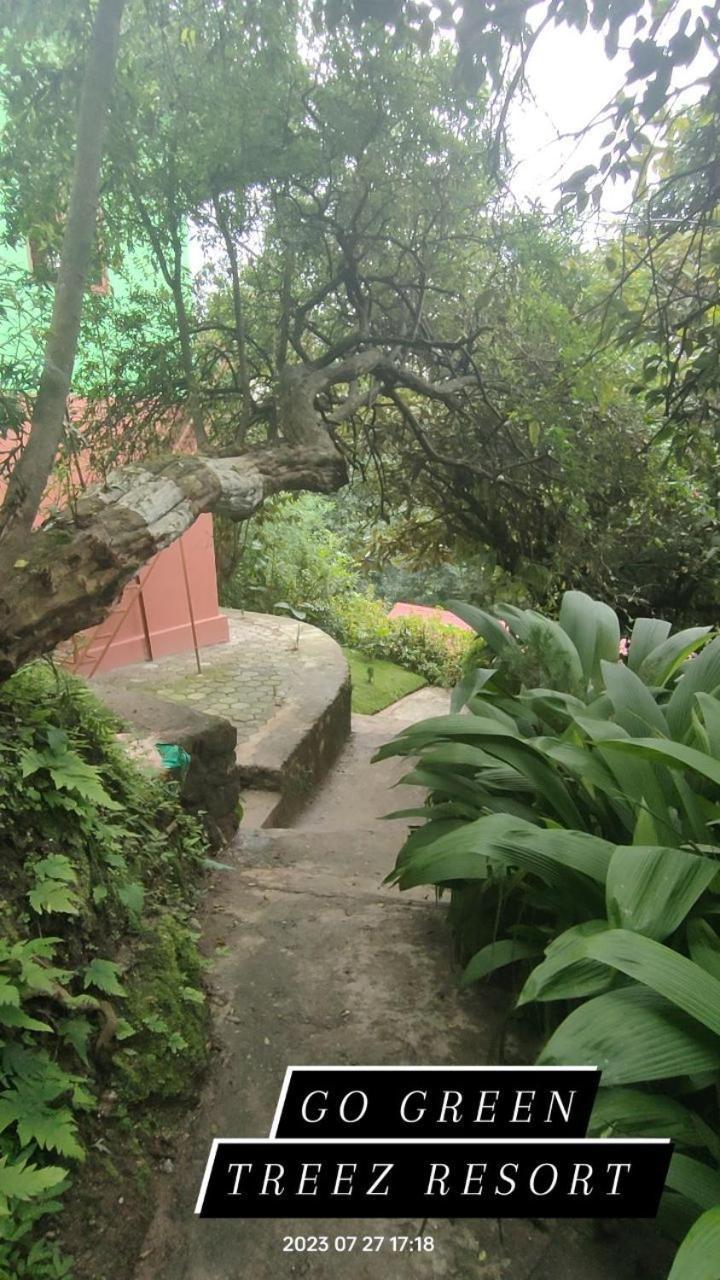 Treez Resort Kathmandu