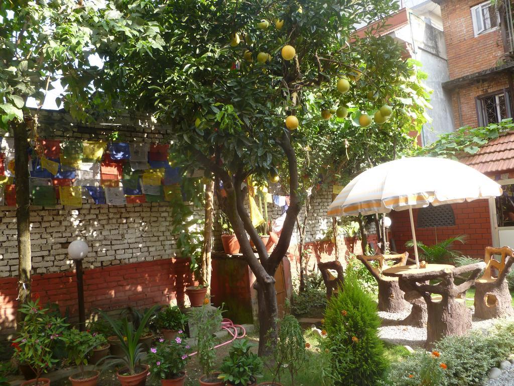 Bed & Breakfast Andes House
