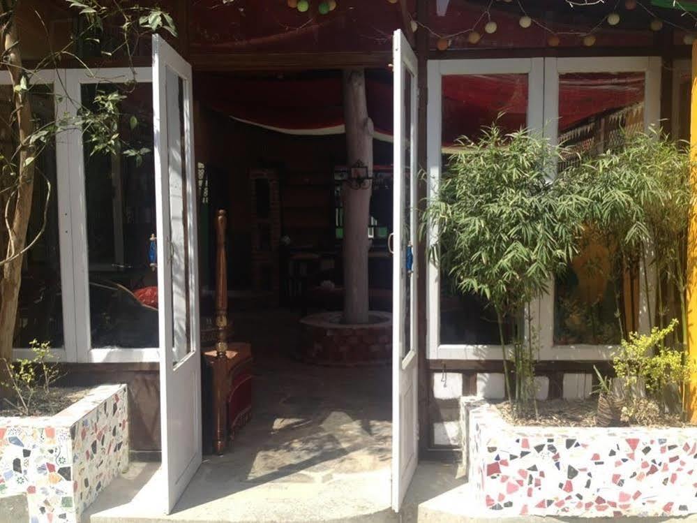 Hostel Alobar1000