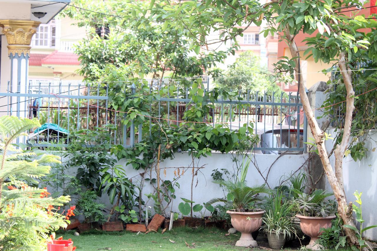 Delights Kathmandu
