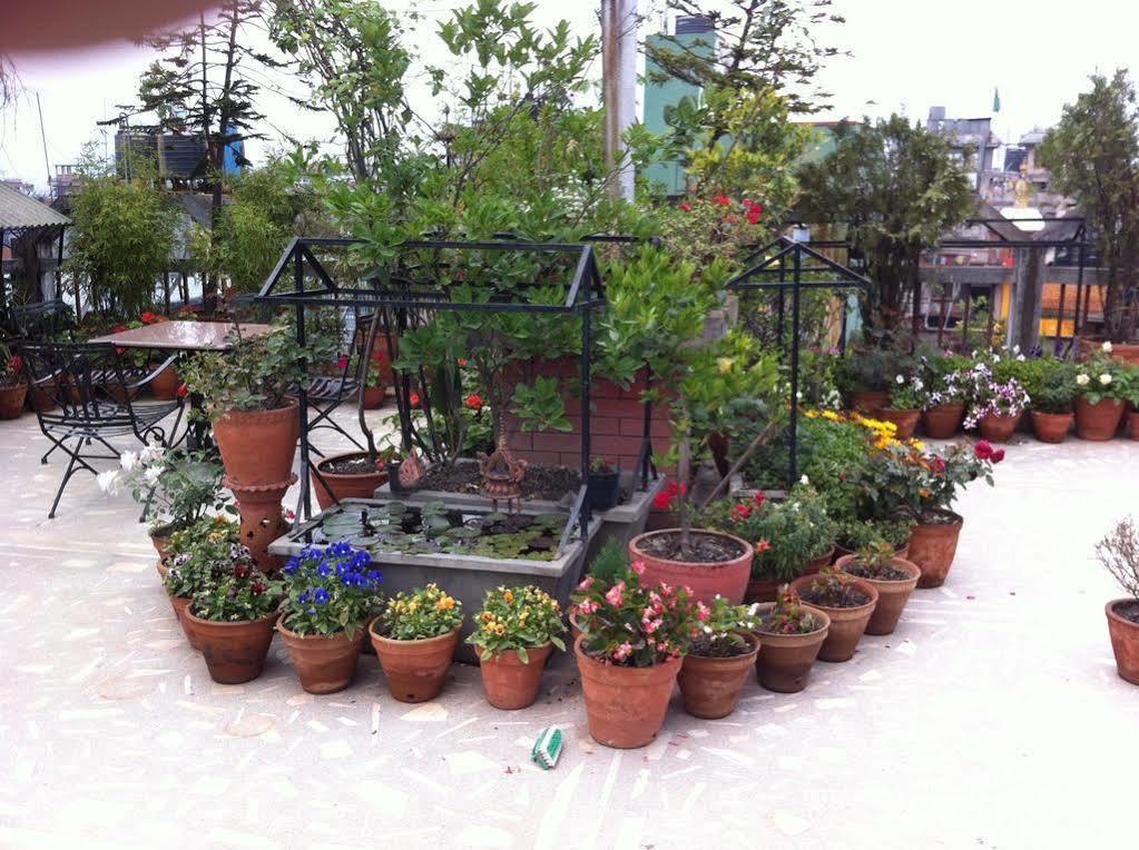 Excelsior 3* Kathmandu
