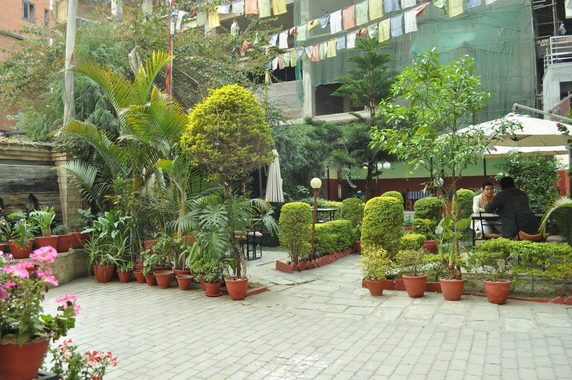 Florid Nepal 2*