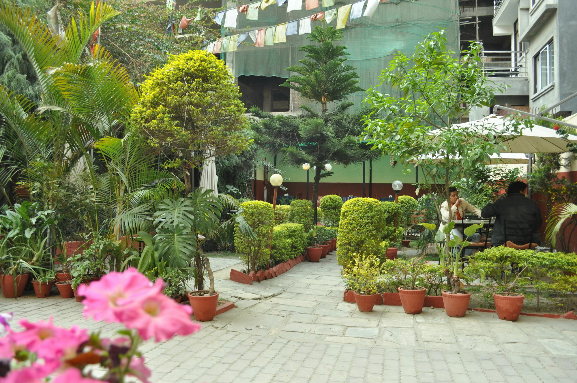 Pensão Florid Nepal Catmandu
