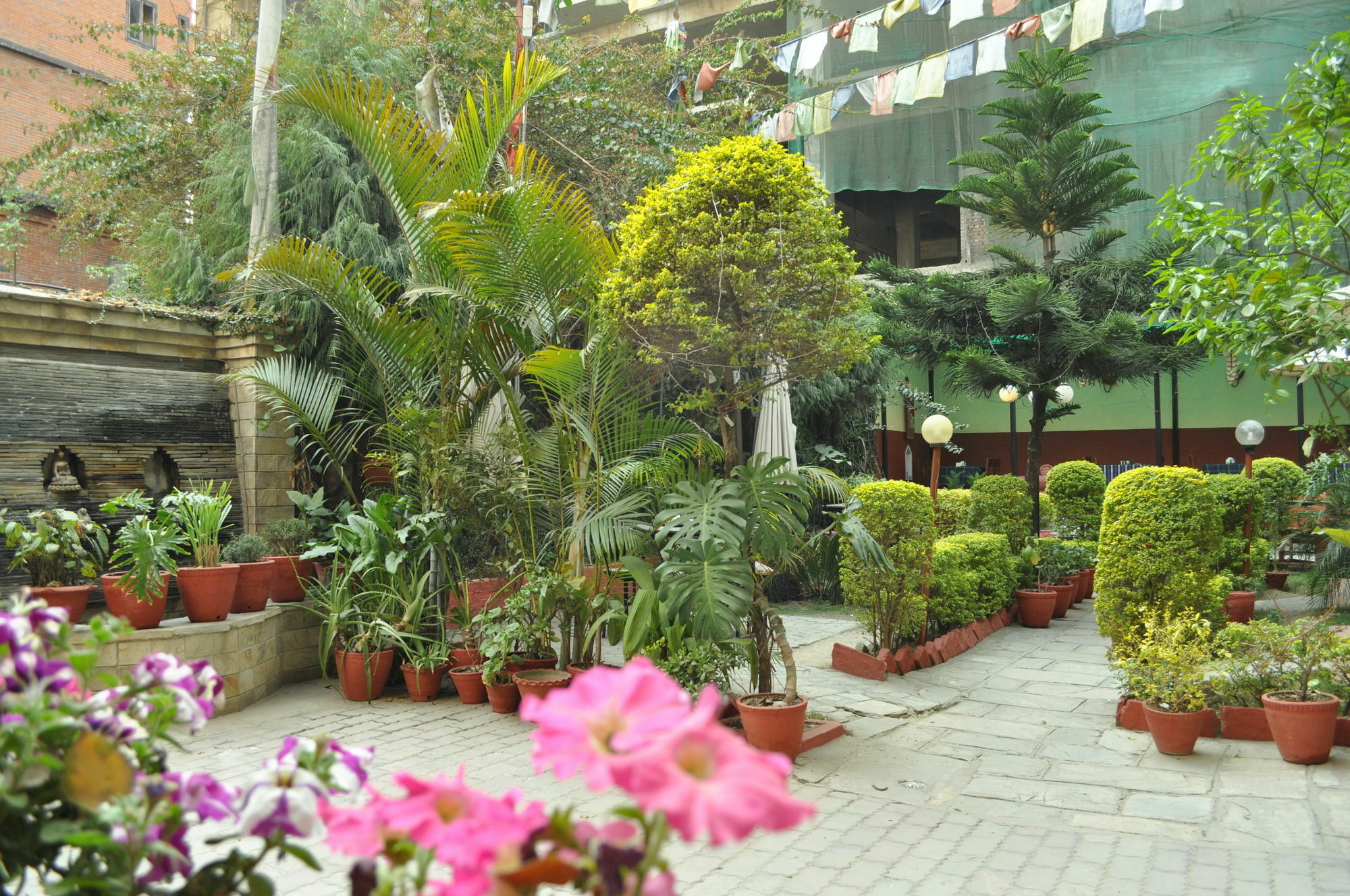Florid Nepal Pensão 2*