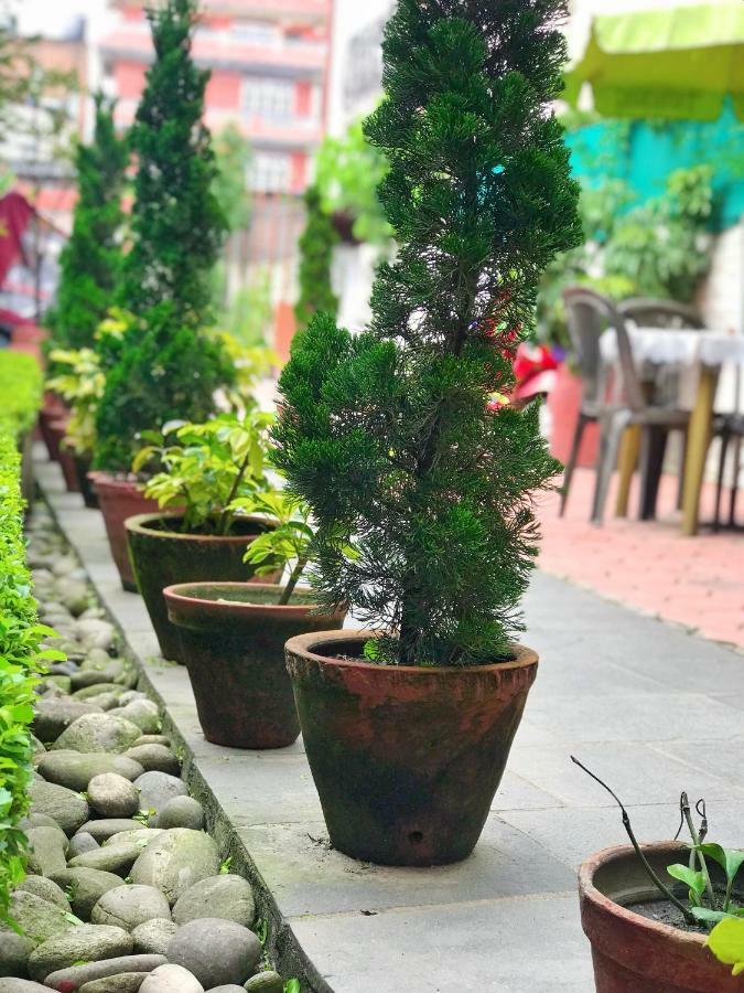 Hotel Tranquil Kathmandu