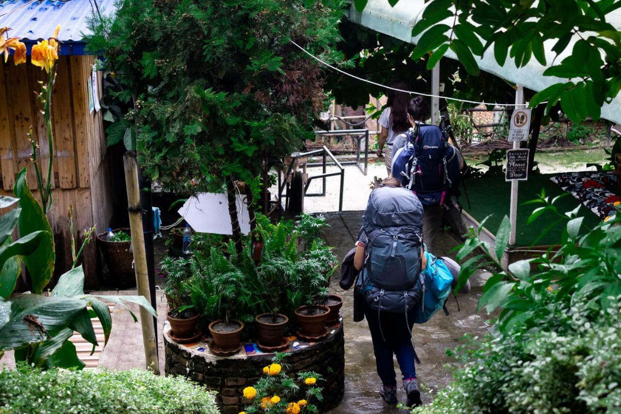 Wander Thirst Hostel