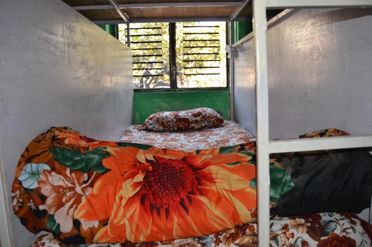 Fireflies Hostel