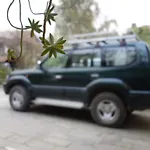 Tushita