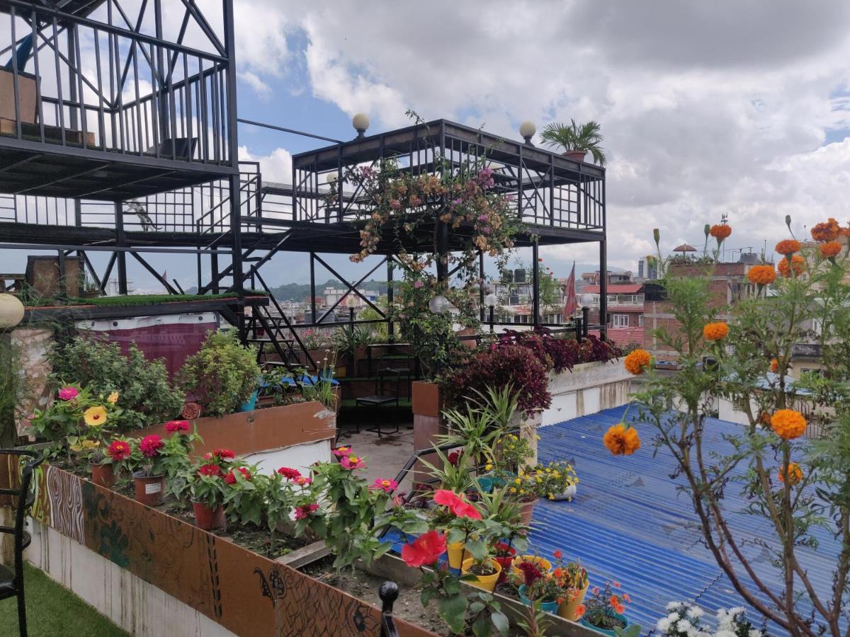 Yog Hostel- Rooftop Yoga & Backpacker Social In Thamel, Kathamndu Kathmandu
