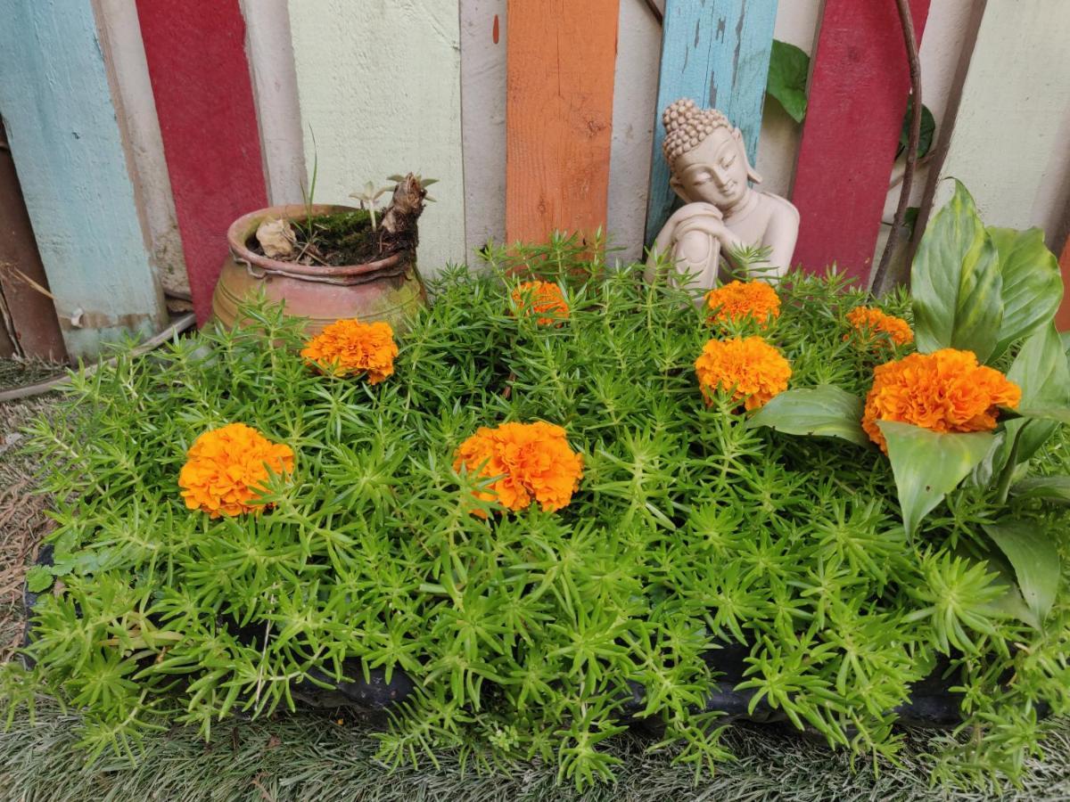 Yog Hostel- Rooftop Yoga & Backpacker Social In Thamel, Kathamndu Asrama Kathmandu