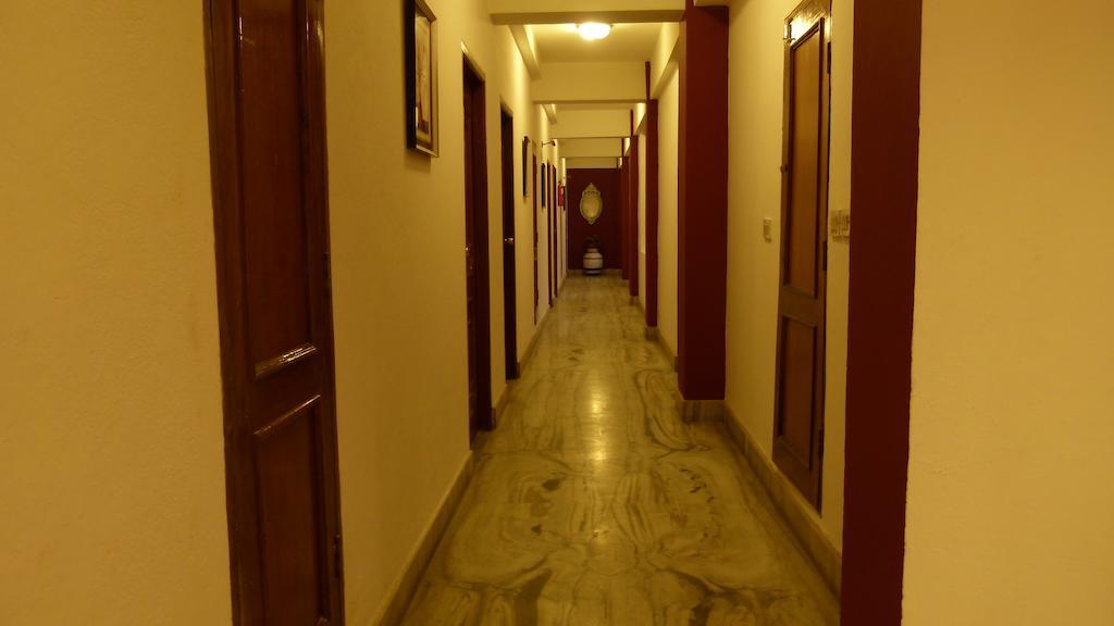 Hotel Lion