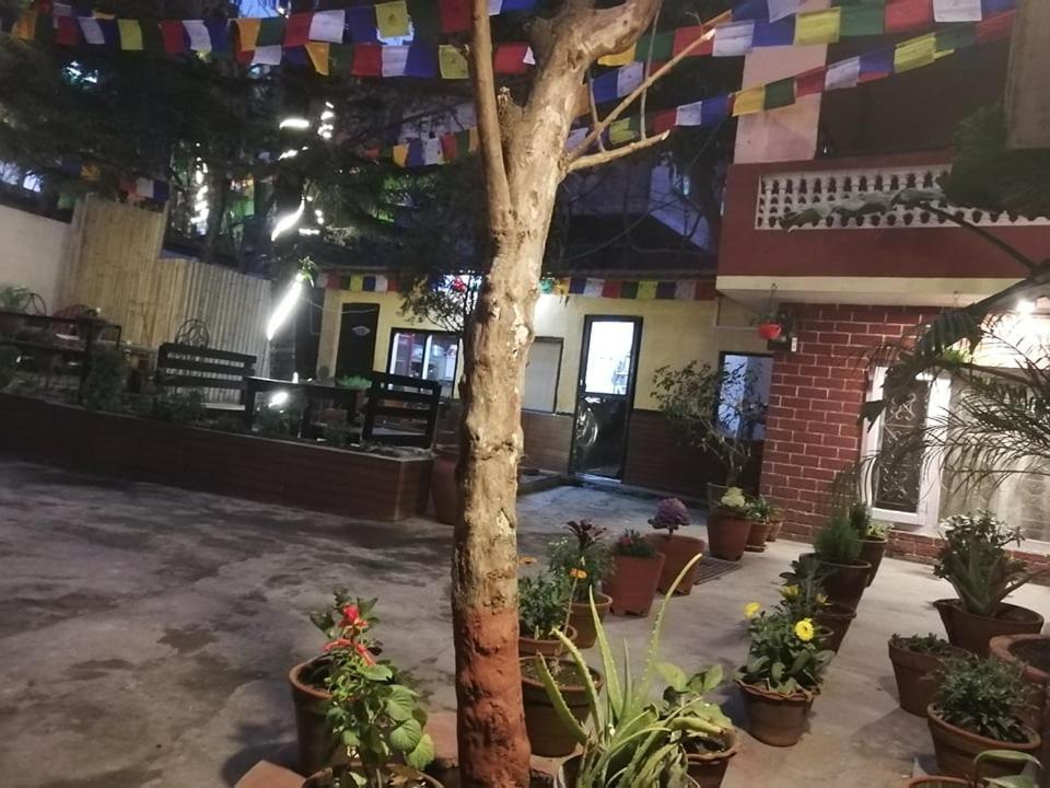 Nirvana Green Peace * Kathmandu