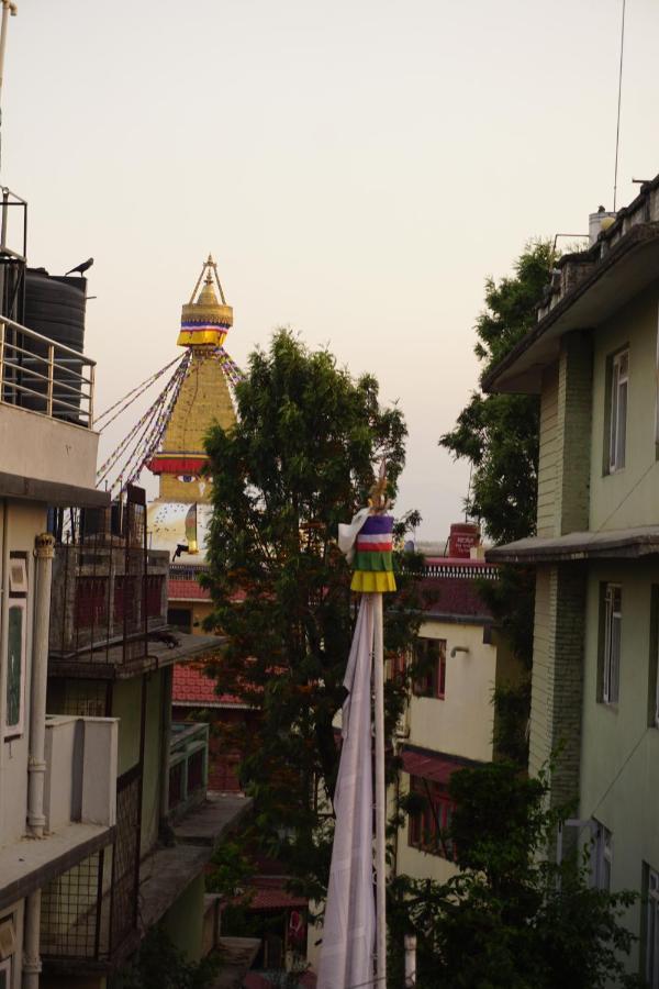 Homestay Drakon Nest *