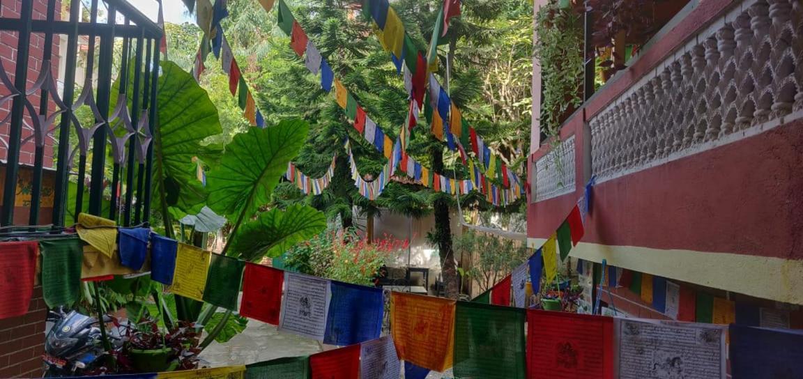 Nirvana Green Peace * Kathmandu