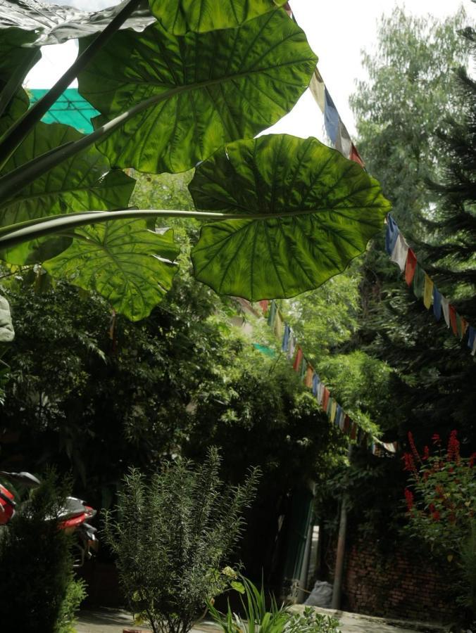 Guest house Nirvana Green Peace *
