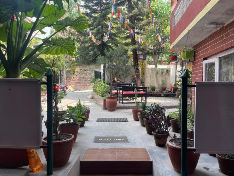Guest house Nirvana Green Peace *