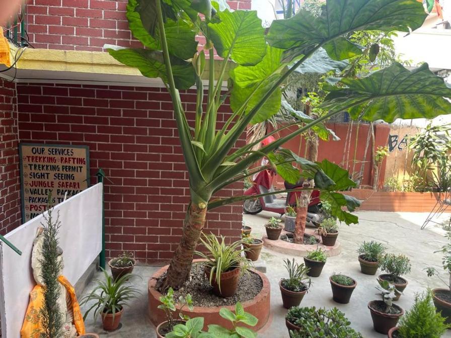 Guest house Nirvana Green Peace