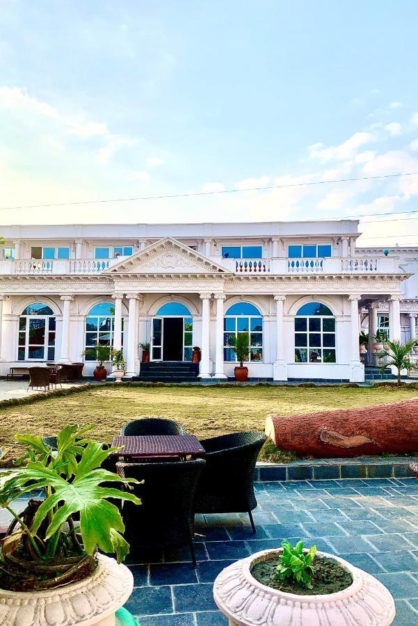 Dream Palace
