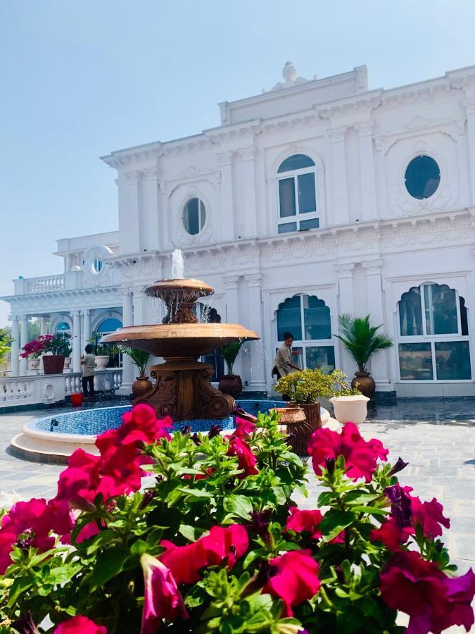 Dream Palace 3*