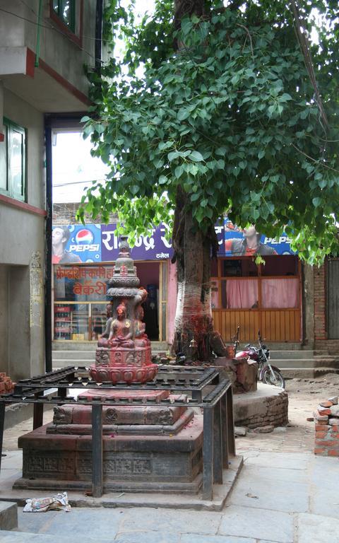 Avalon House Hotel Kathmandu