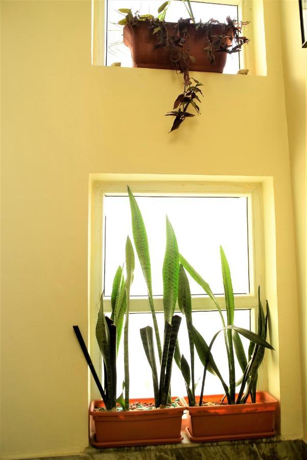 Boutique Style, Eco-friendly With Attached Bathroom