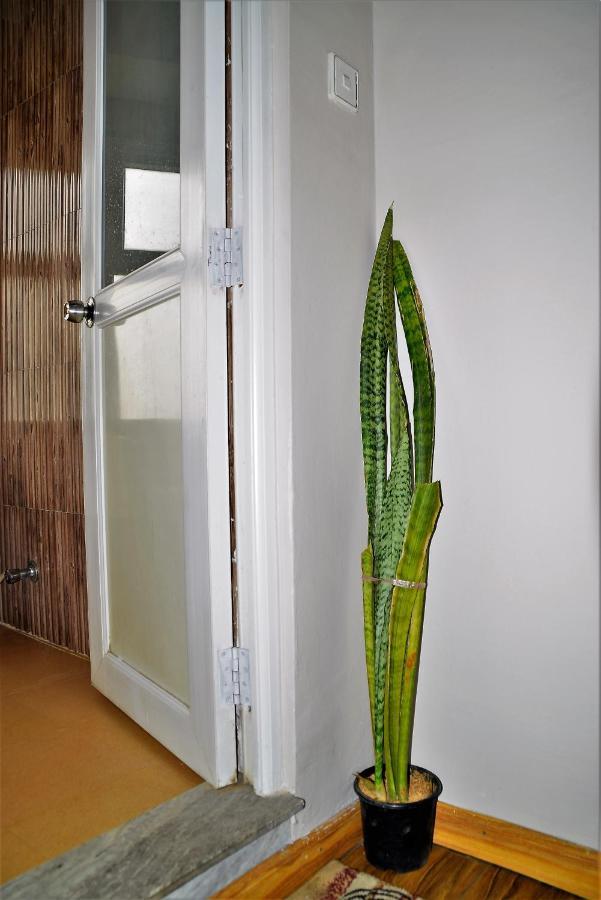 Boutique Style, Eco-friendly With Attached Bathroom Hotel *